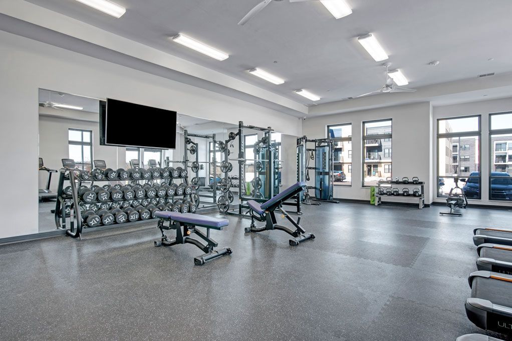 Modern gym with weight benches, racks, dumbbells, and large windows in a bright room