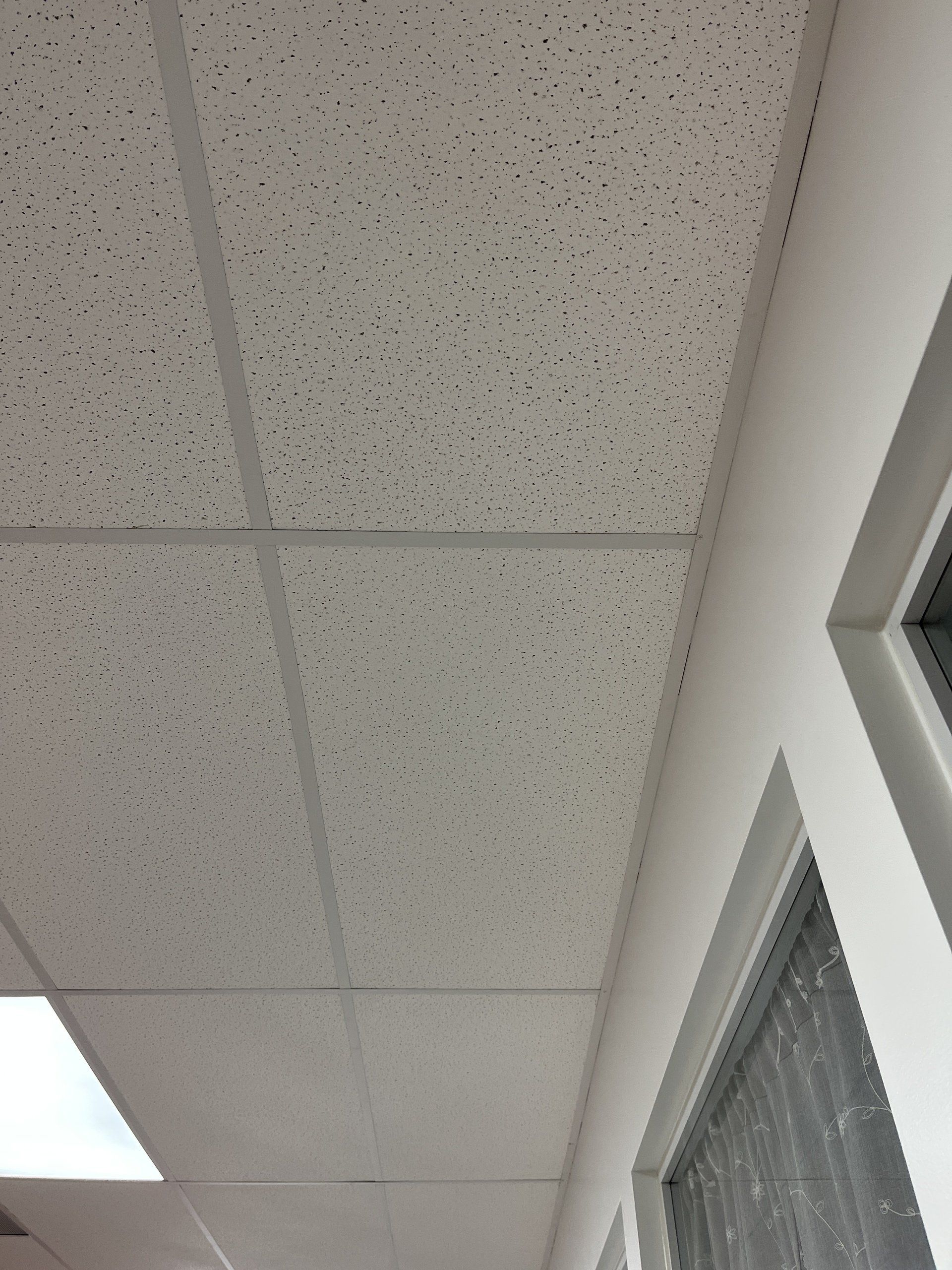 acoustic ceiling panels hung inside office space