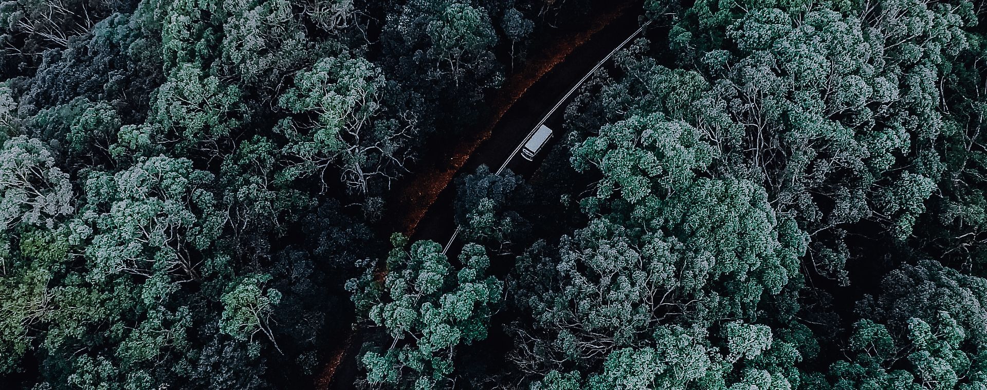 Una vista aérea de un automóvil circulando por una carretera a través de un bosque.