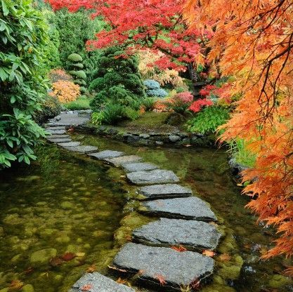 Een stenen pad slingert door een Japanse tuin, omgeven door water en kleurrijk herfstgebladerte.