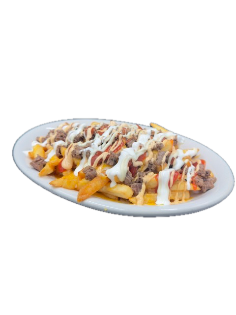 Fries topped with meat, cheese, ketchup, and white sauce on an oval plate.