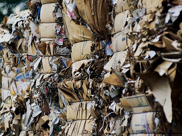 NCL NEGOCIO Y CASA LIMPIOS - CARTÓN