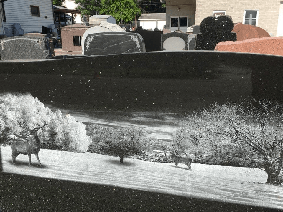 A black and white photo of a deer and trees