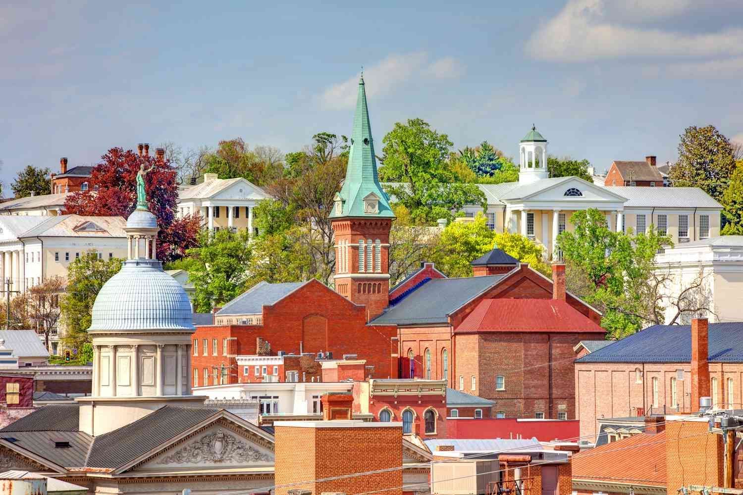 Cityscape with various brick buildings, green trees, and blue sky.