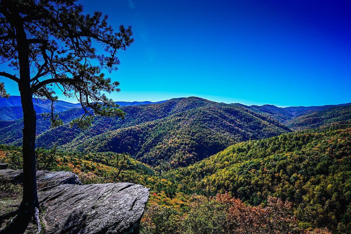 Scenic view of a lush green mountain range under a clear, bright blue sky. A tree and rock ledge frame the foreground.