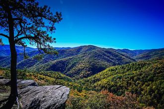Scenic view of a lush green mountain range under a clear, bright blue sky. A tree and rock ledge frame the foreground.