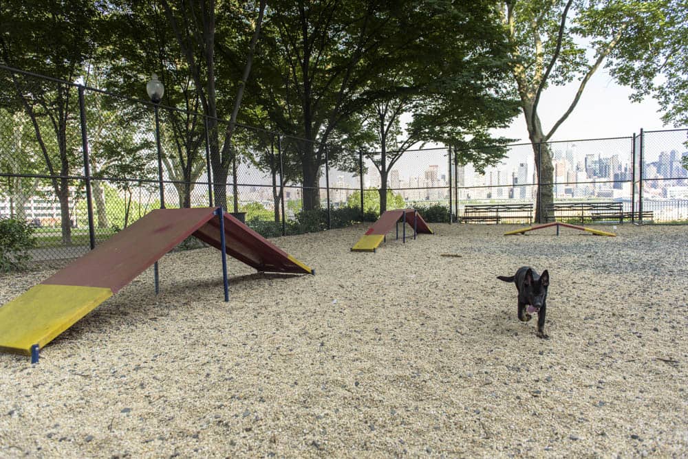 Meridian Park Ave building photos