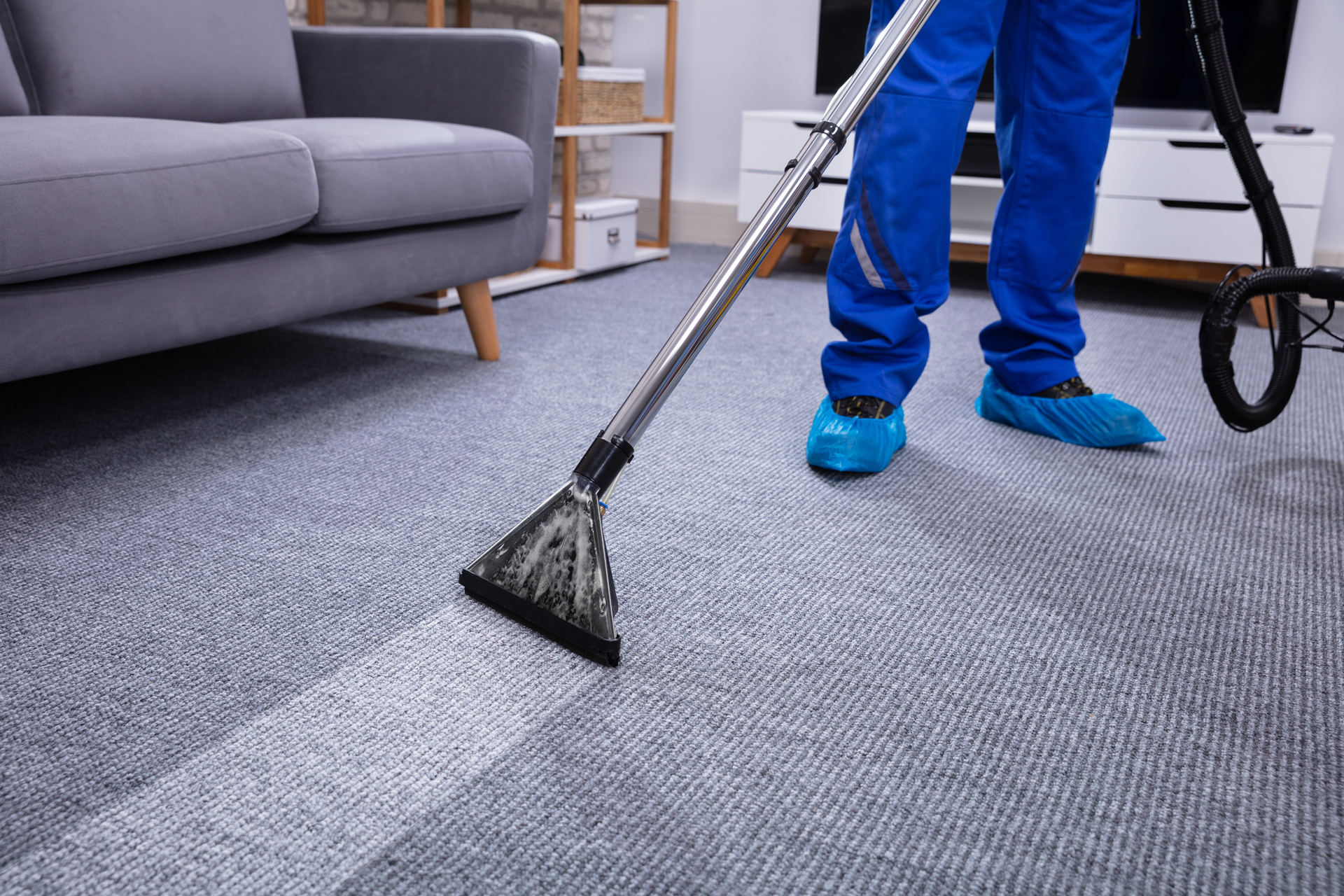 A person is cleaning a carpet with a vacuum cleaner in a living room.