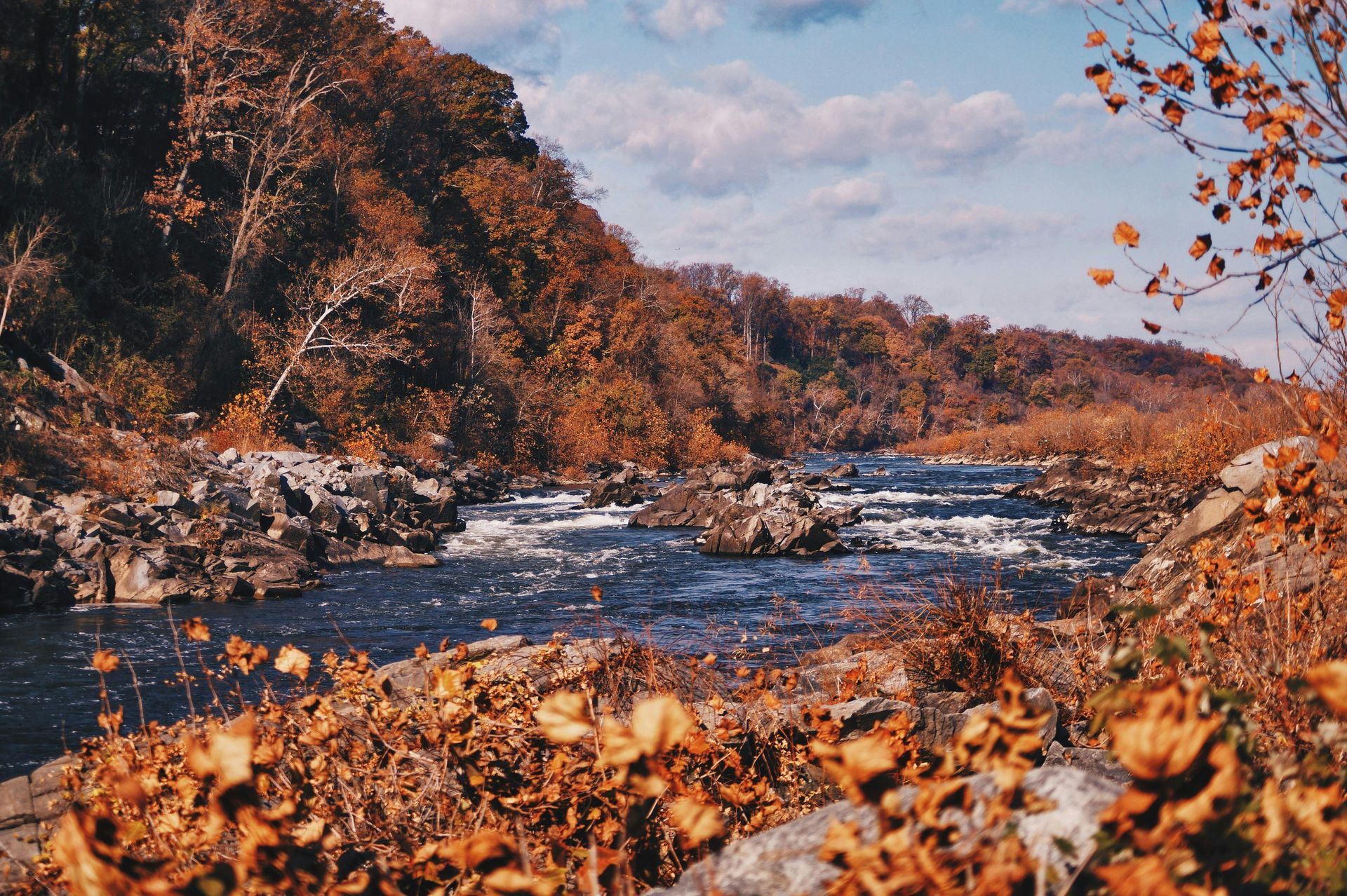 A river surrounded by trees and rocks in the middle of a forest.