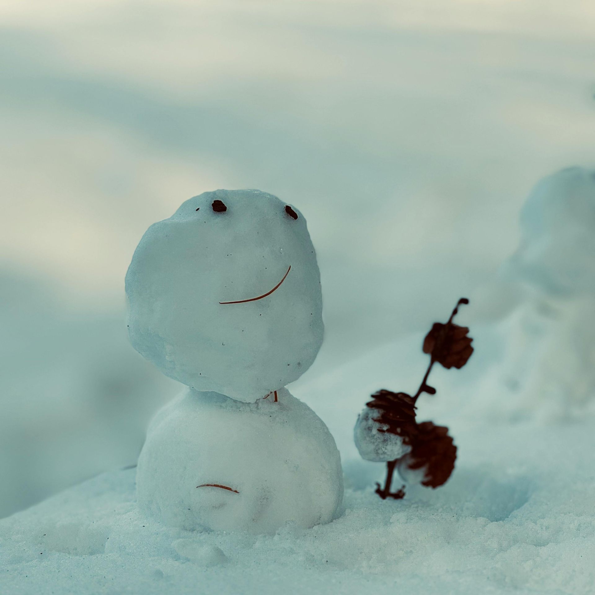 Children therapy services