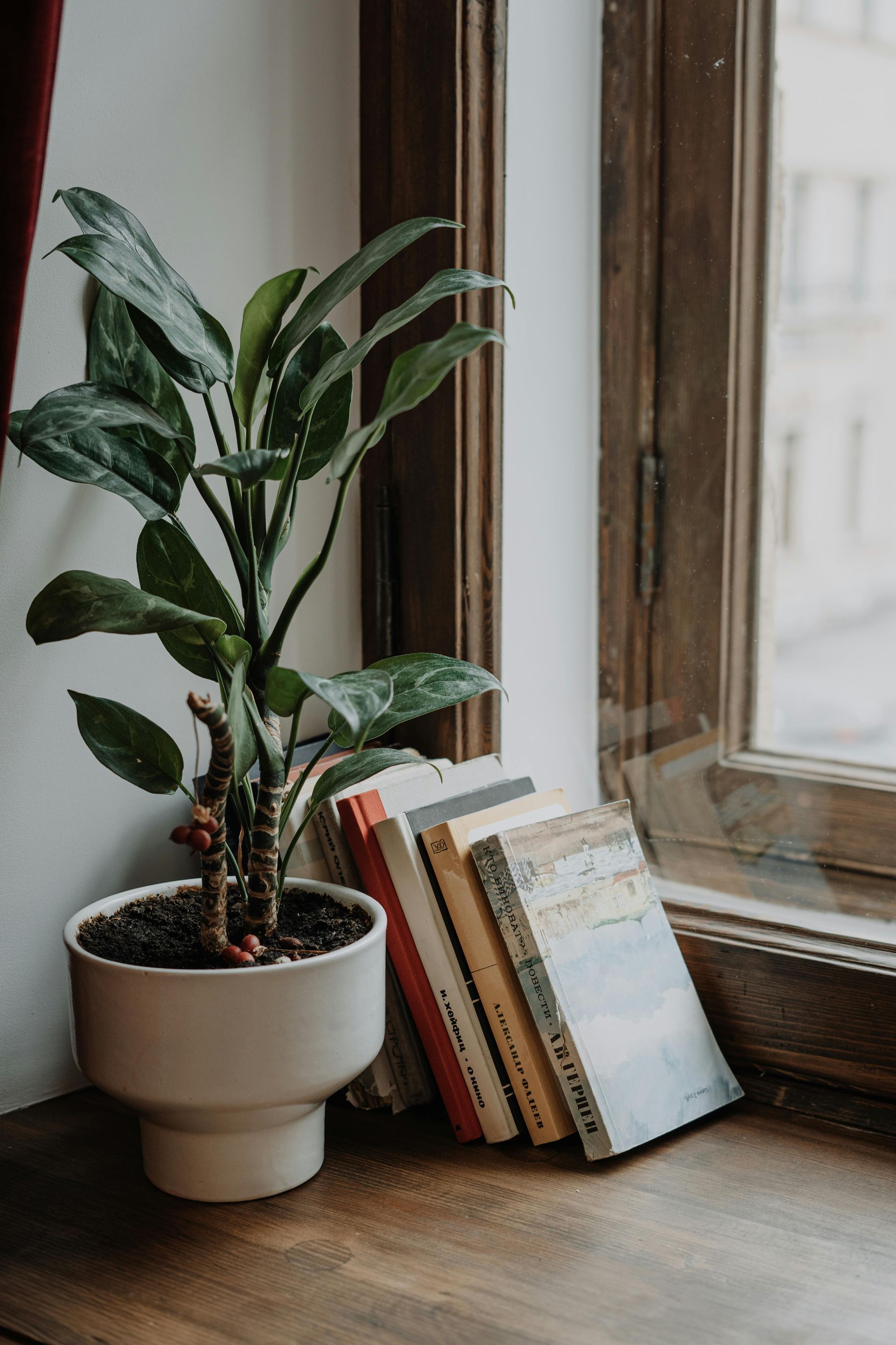 Therapists office book shelf