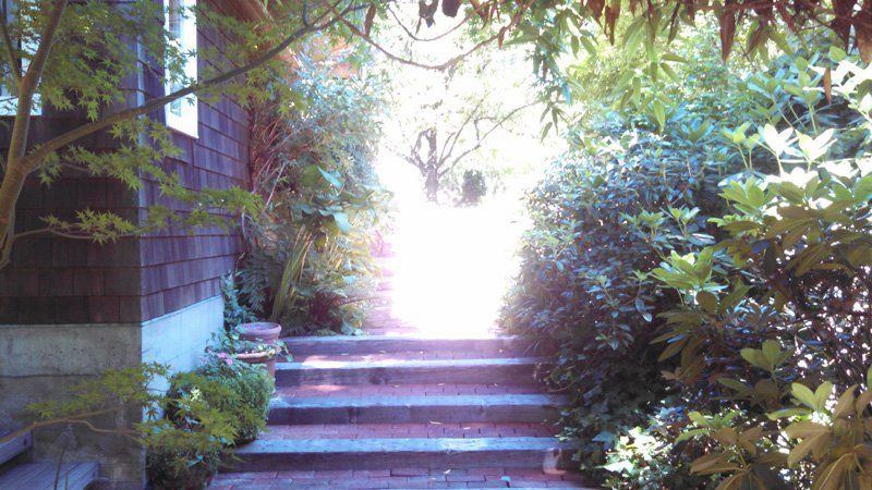 backyard trees and stairs