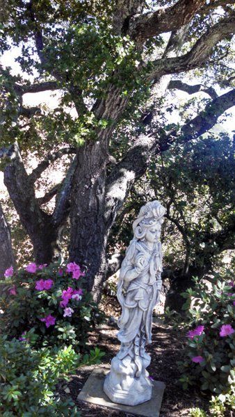 Tree and a statue