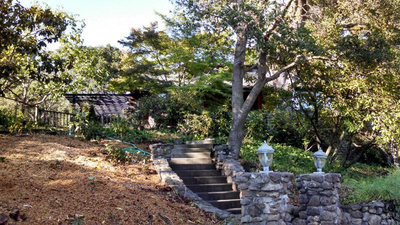tree lined stairs