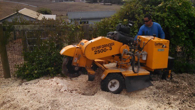 stump grinder