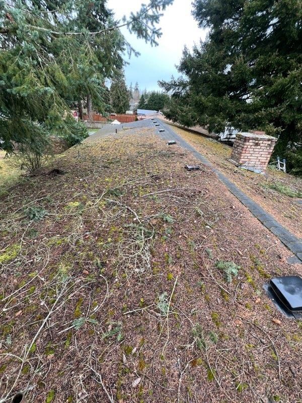 Roof With Chimney Before - Seattle, WA - ASAP Graffiti Removal