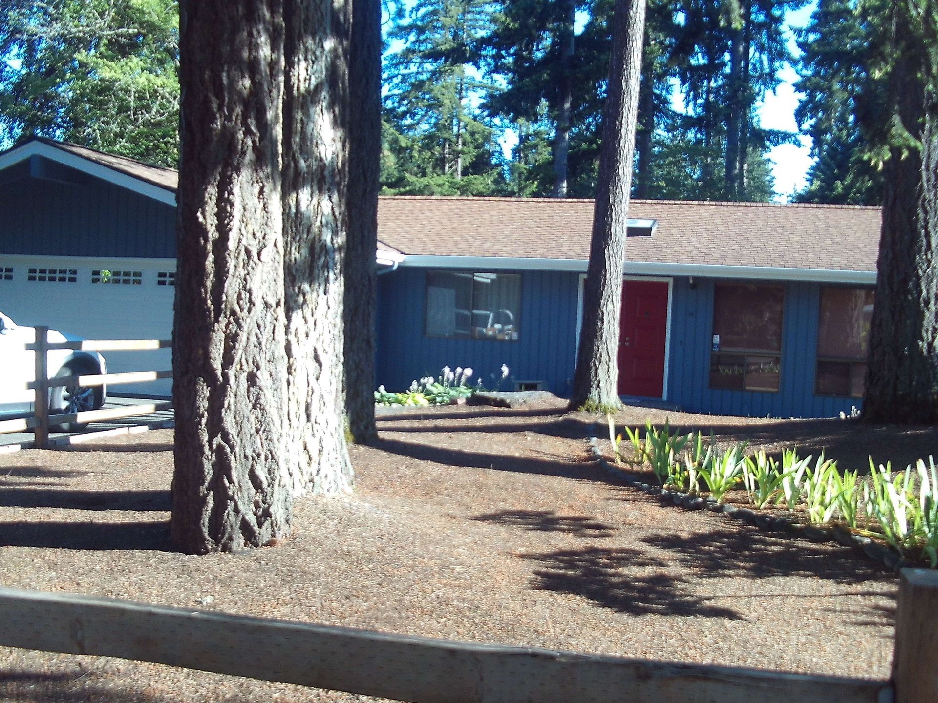 A blue house with a red door is surrounded by trees