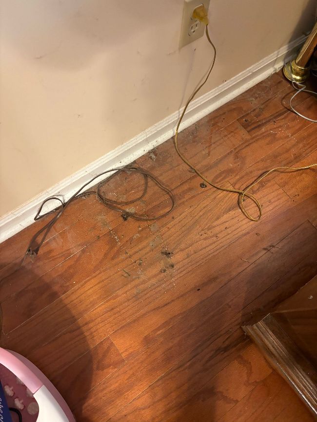 Deep Cleaning of Floor Before