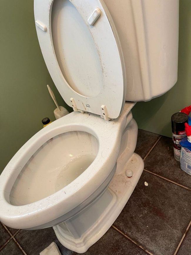 Deep Cleaning of Toilet Before
