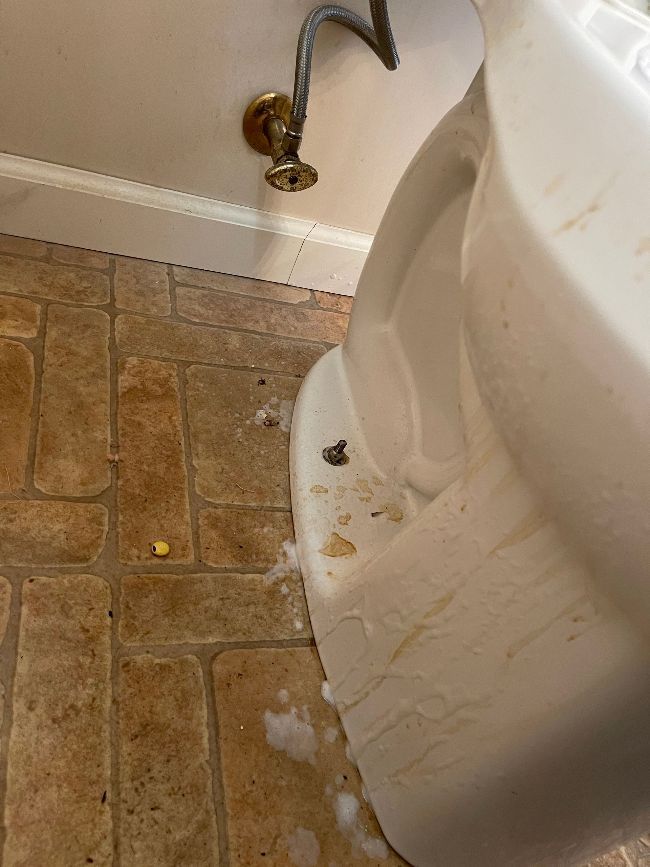 Deep Cleaning of Toilet Bottom Before