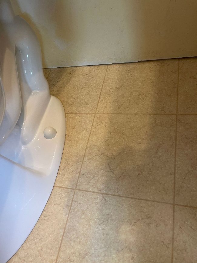 Deep Cleaning of Toilet Bottom After