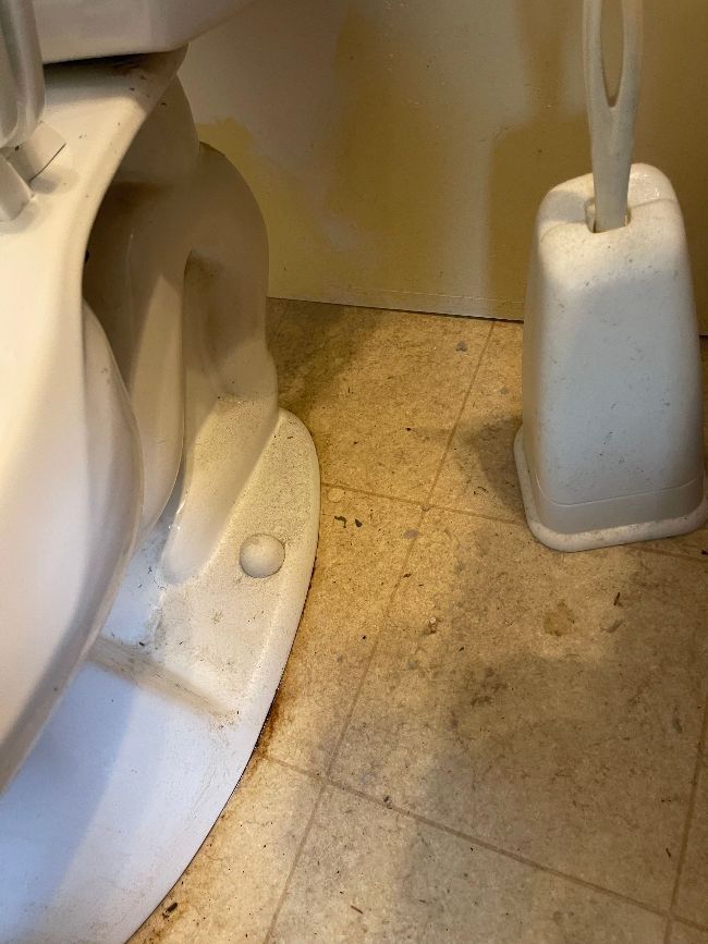 Deep Cleaning of Toilet Bottom Before
