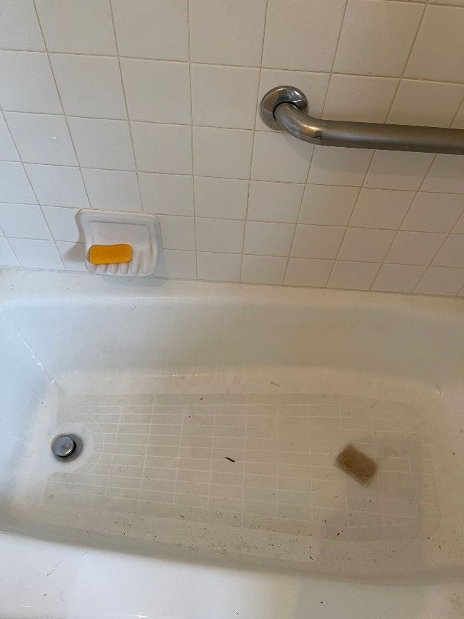 Deep Cleaning of Bathtub Before