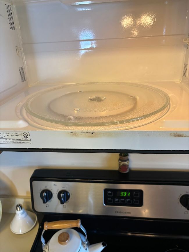 Deep Cleaning of Microwave After