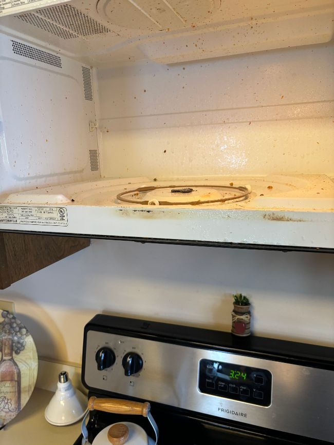 Deep Cleaning of Microwave Before