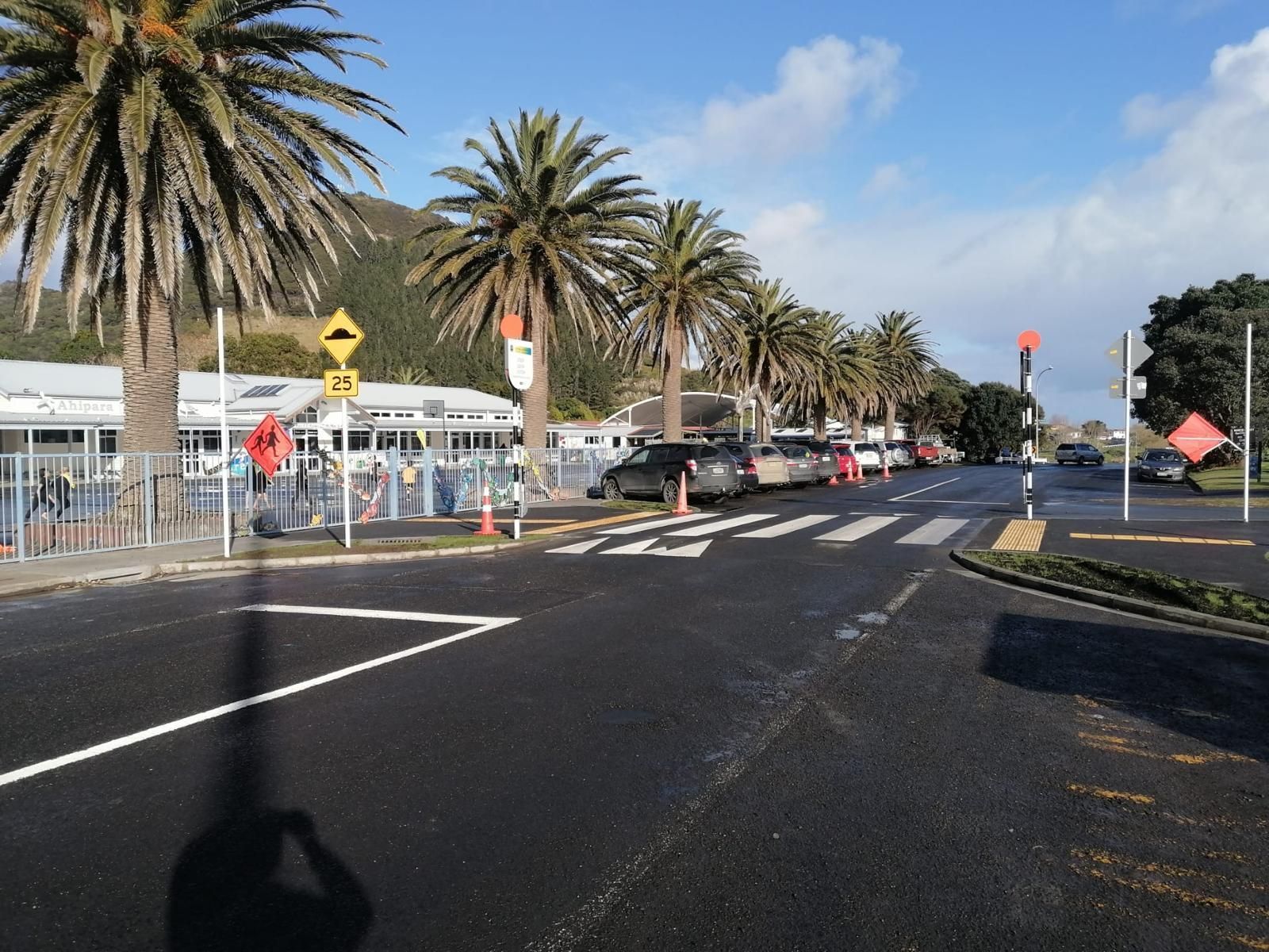 A street with palm trees on the side of it