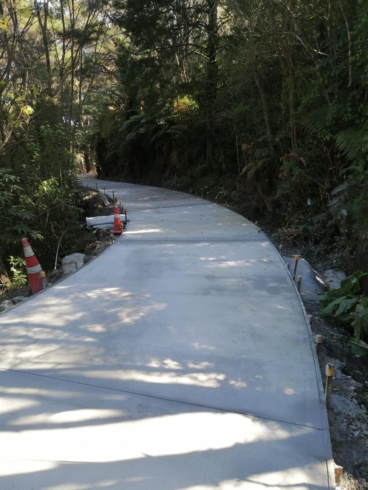 A concrete road in the middle of a forest