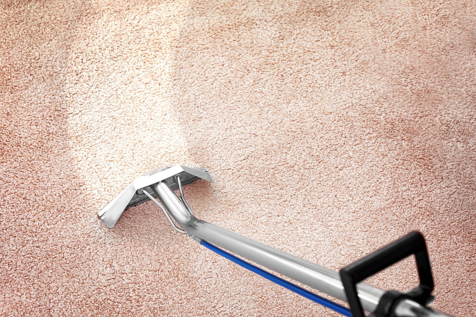 Hot water extraction carpet cleaning equipment removing deep dirt from carpet fibers
