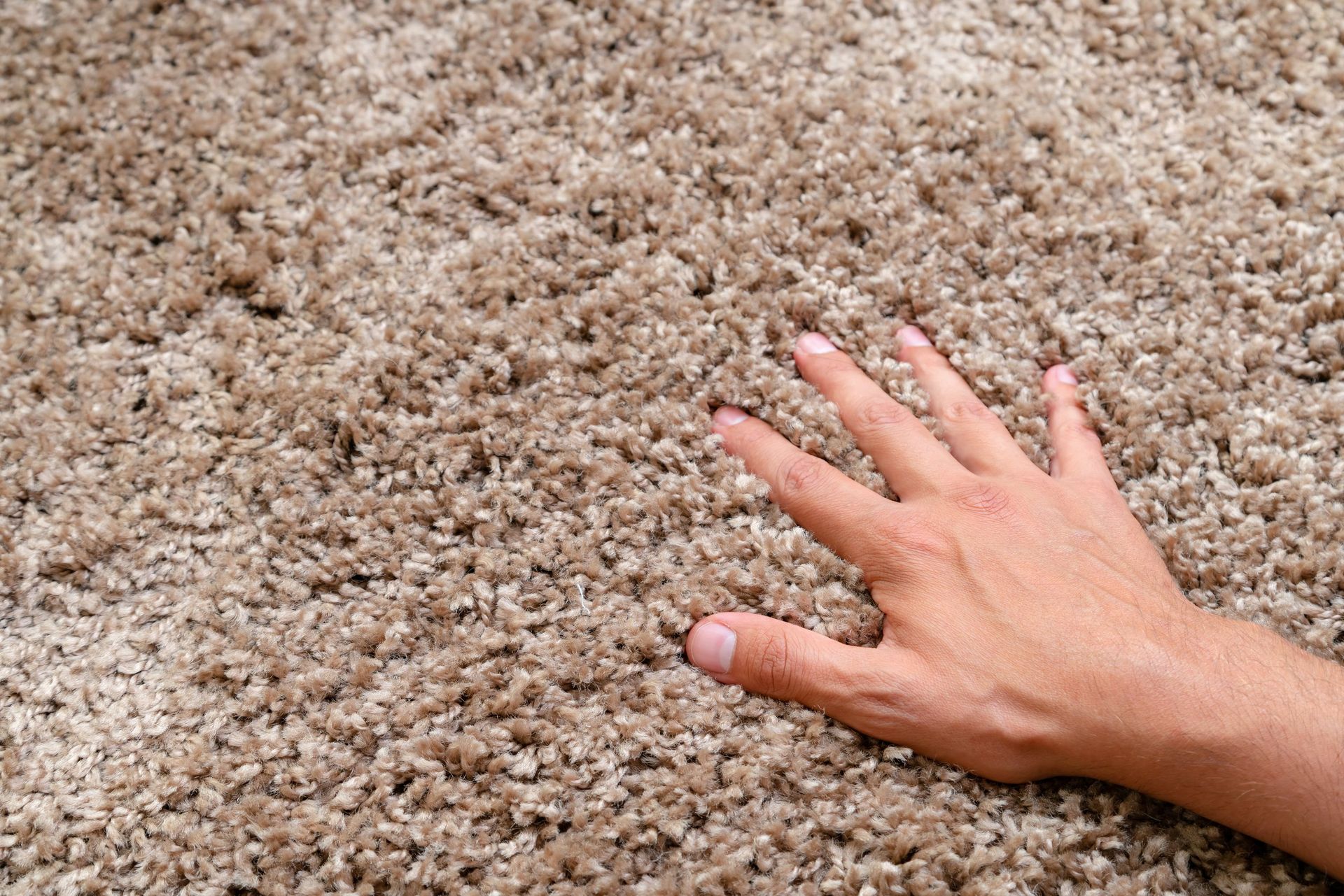 Hand touching soft carpet after deep carpet cleaning with professional-grade service