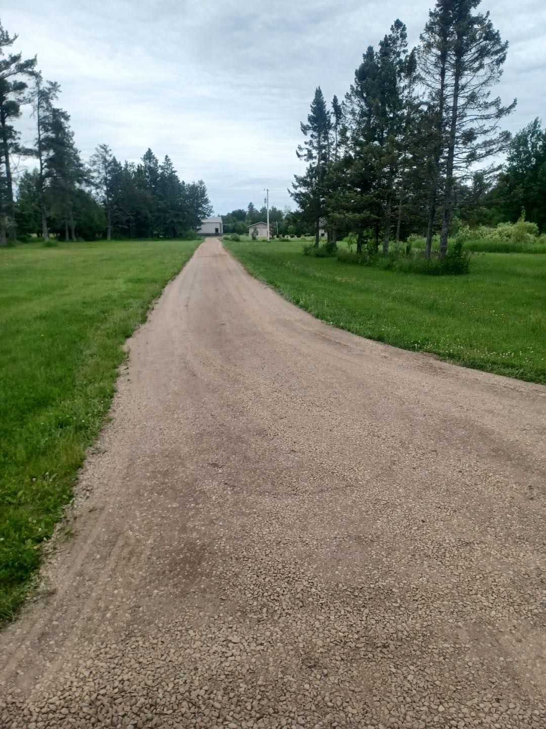 A dirt road going through a grassy field with trees on both sides