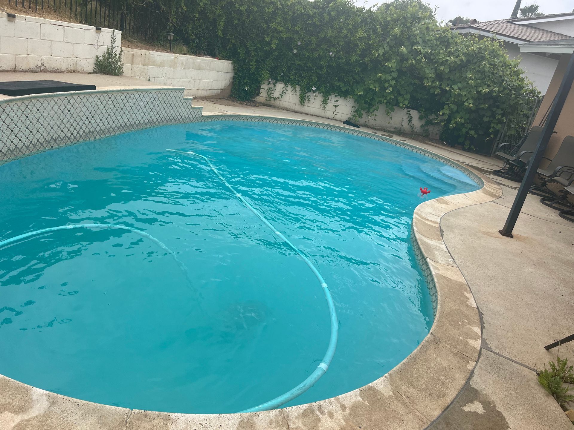 A turquoise-colored swimming pool in a backyard, with a pool vacuum hose visible.