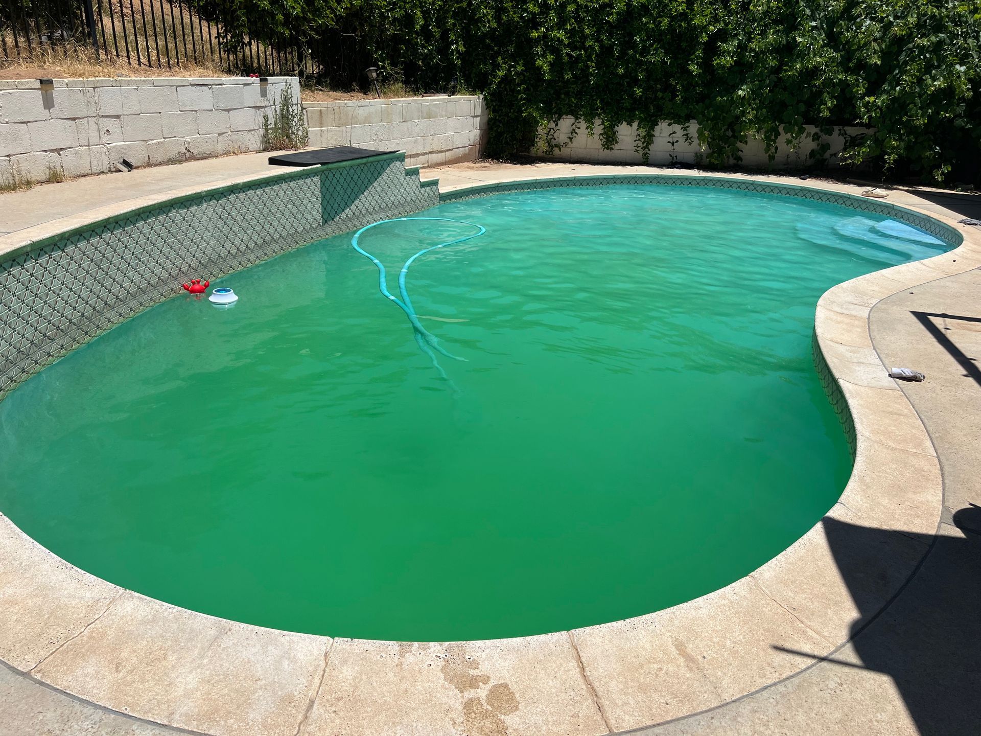 Green algae-filled pool with a diving board, surrounded by a concrete patio.