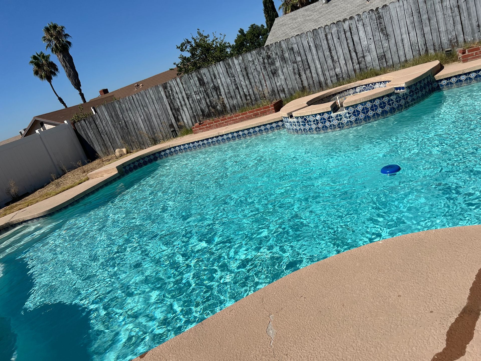 A sparkling blue swimming pool surrounded by a concrete deck, with a white wooden fence and palm trees in the background.