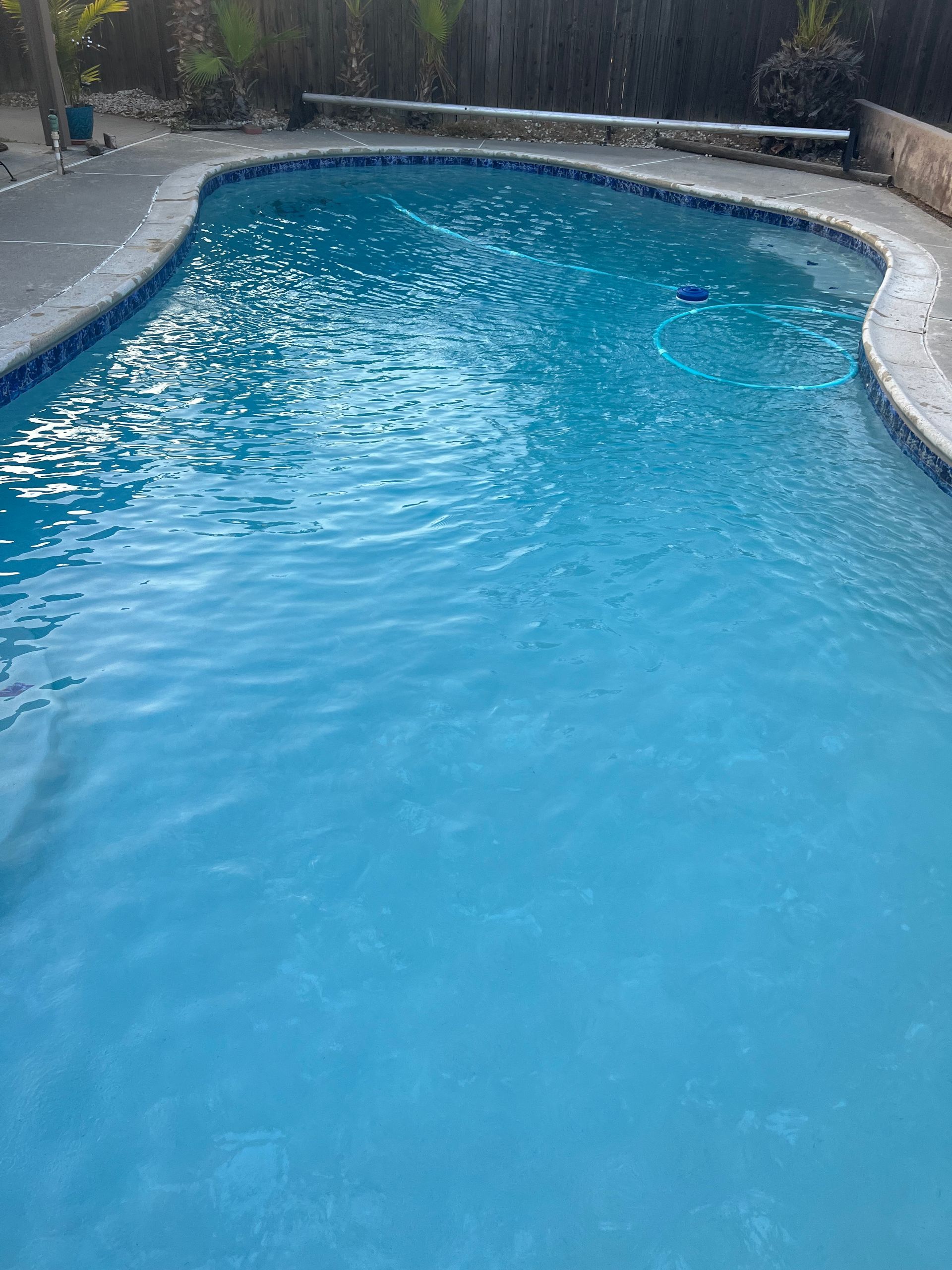 Blue swimming pool with a diving board in a backyard.
