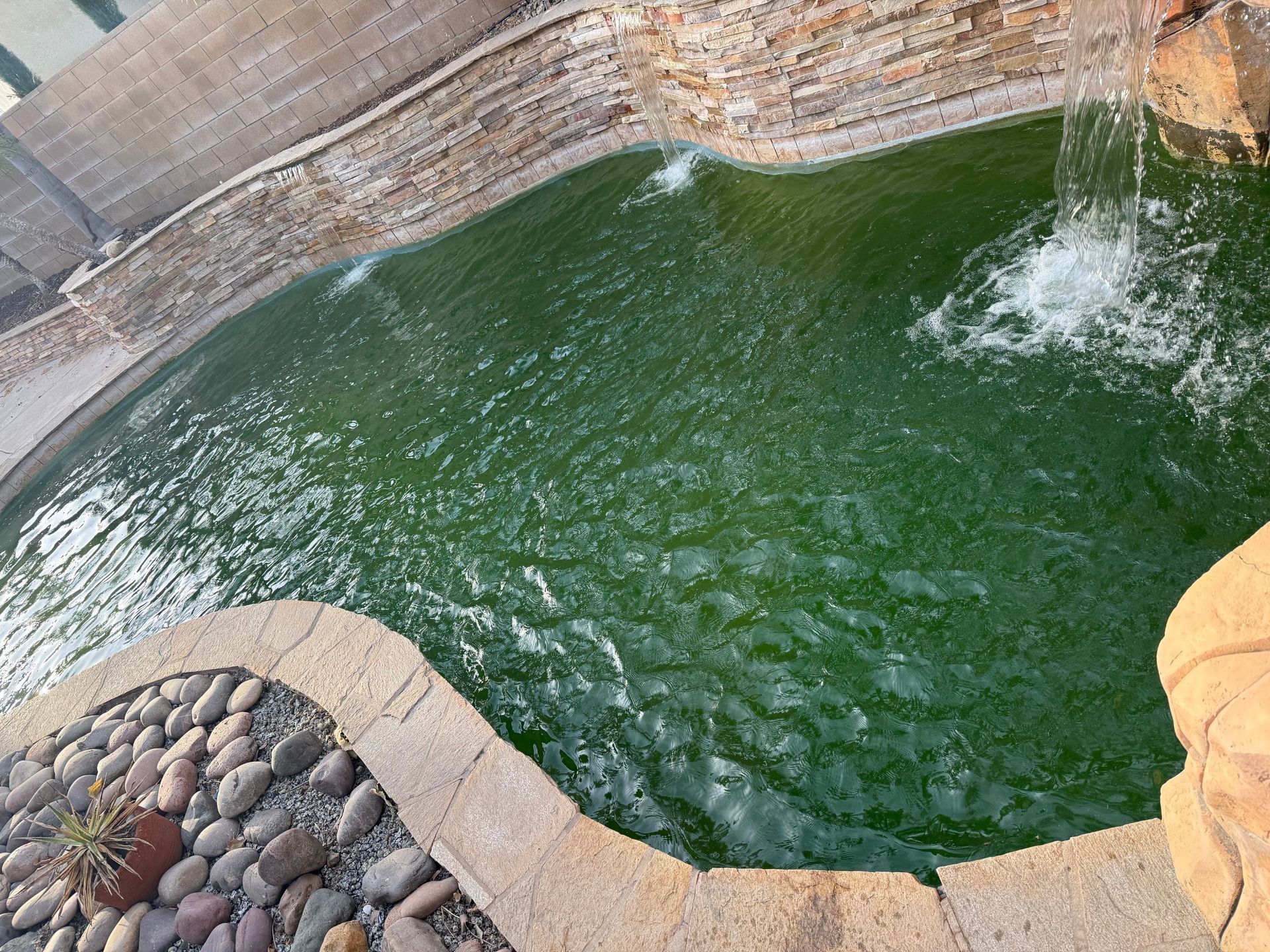 Green pond with waterfalls and stone borders.