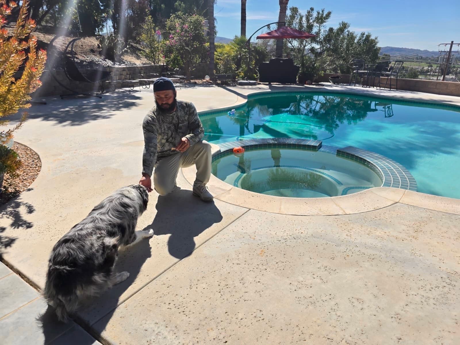 A person in a patterned long-sleeve shirt kneels on a pool deck, reaching toward a speckled dog near a swimming pool.