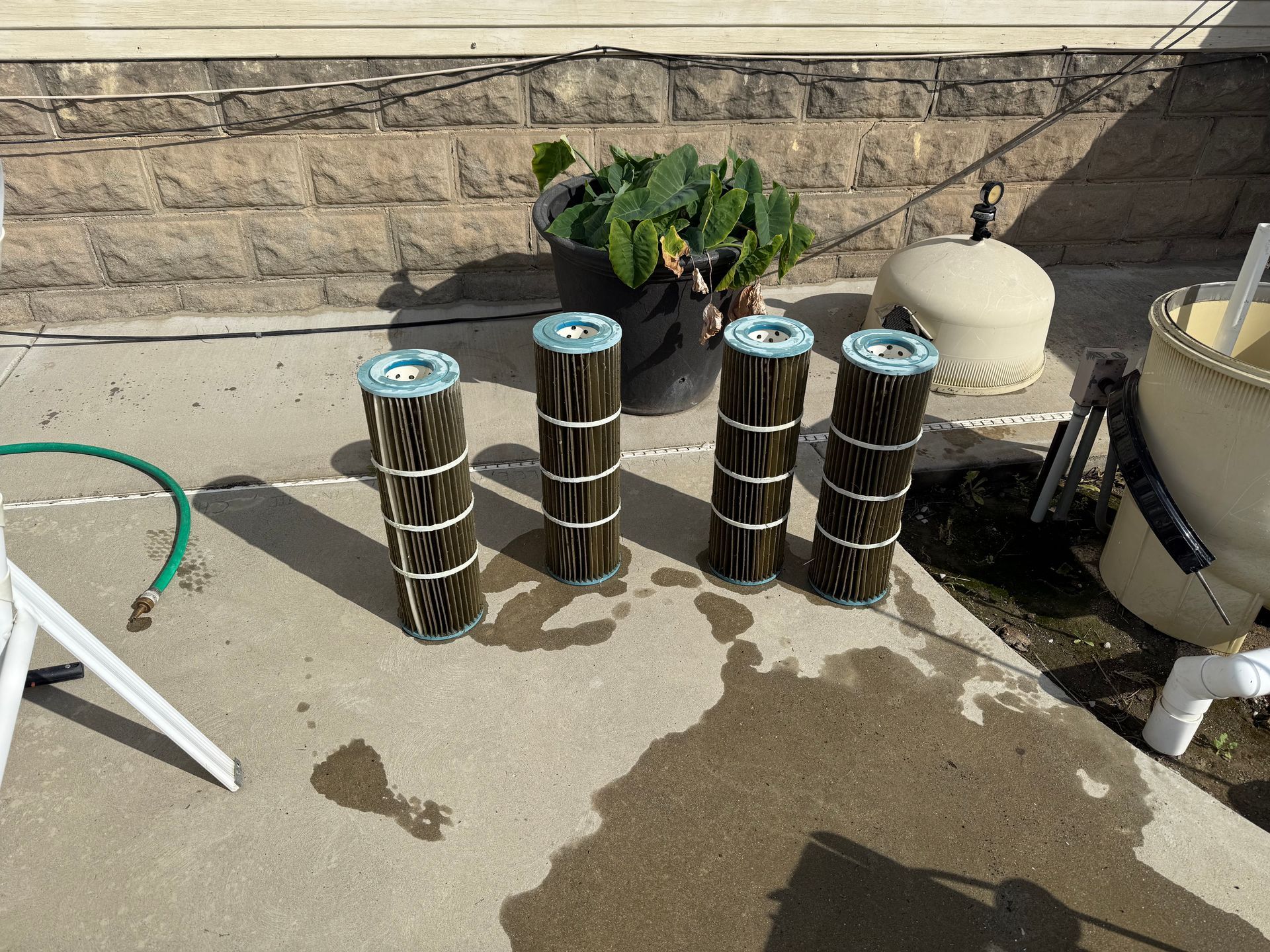 Dirty pool filter before cleaning