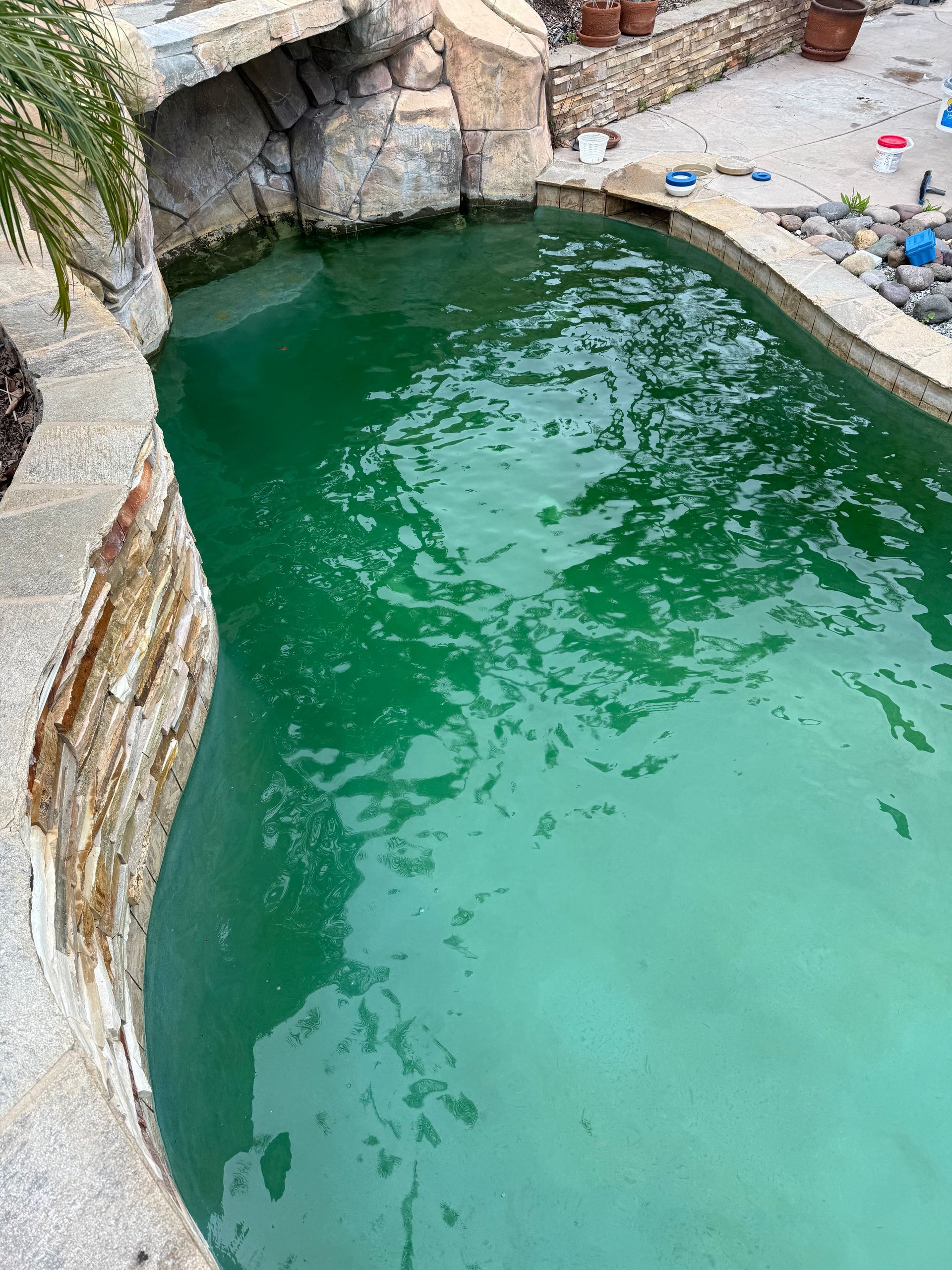 Green pool with algae before cleaning