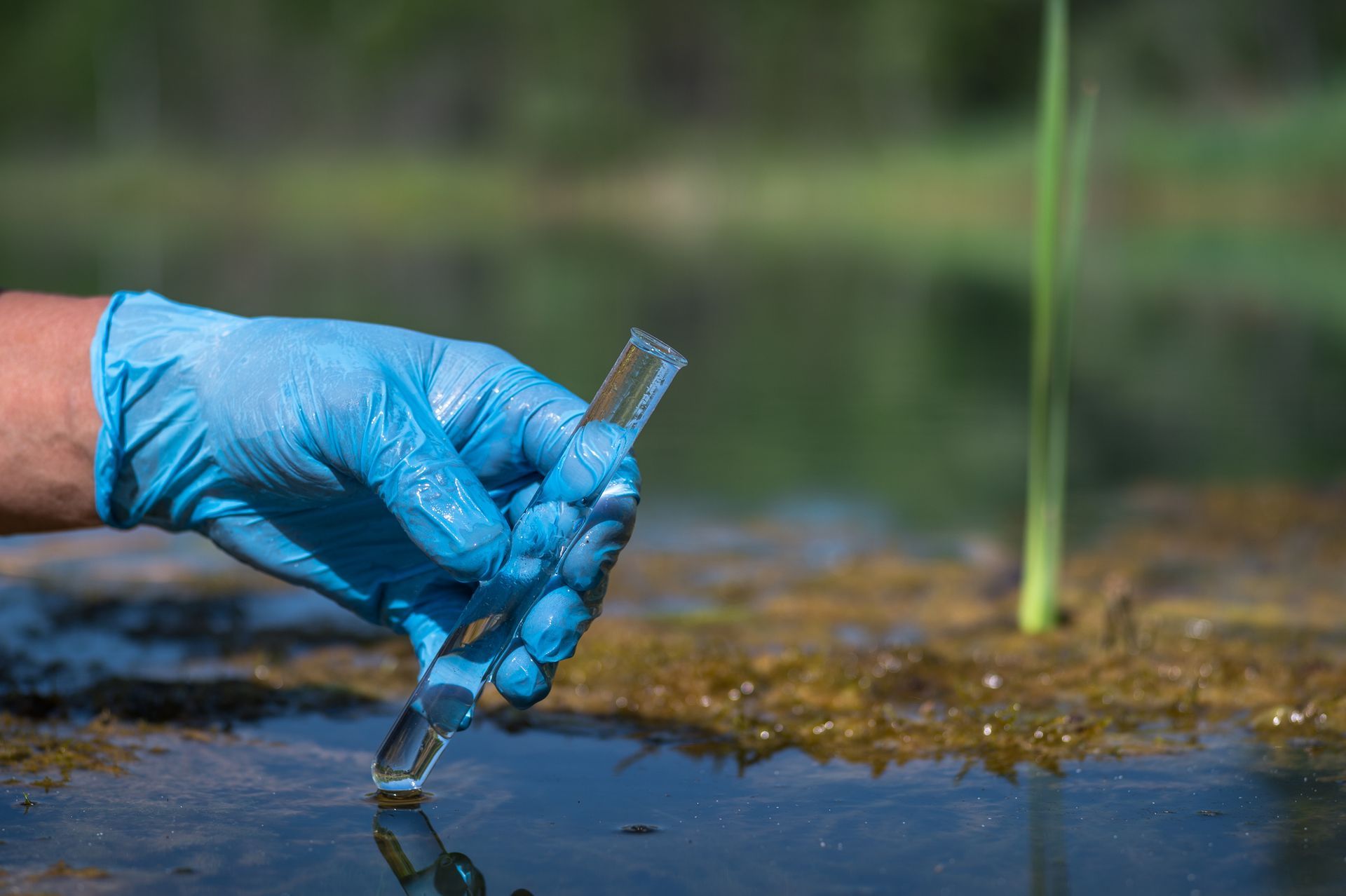 A person wearing blue gloves is holding a test tube over a body of water.