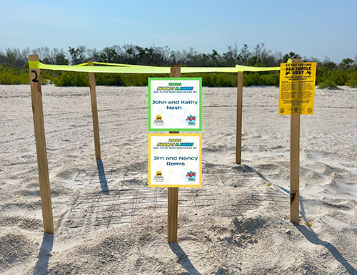 Friends of Lovers Key Adopt-A-Nest Program