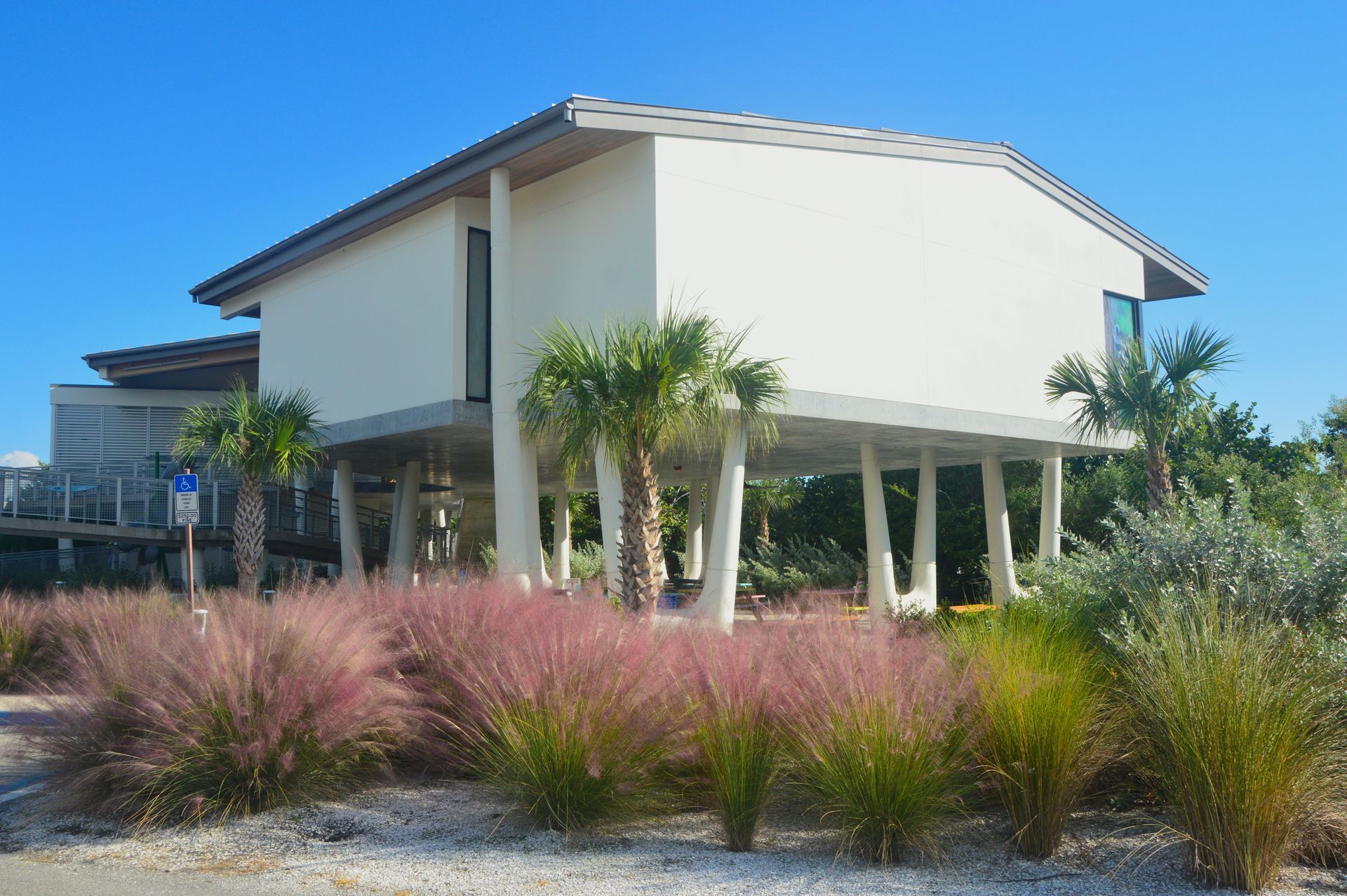 Saltwater resistant plants