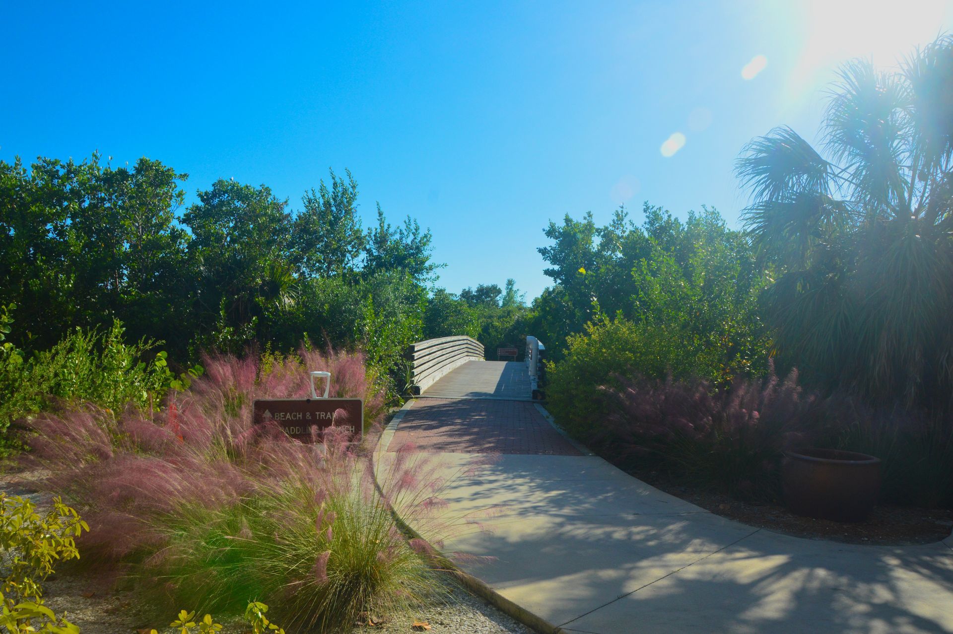 Lovers Key State Park salt resistant landscape