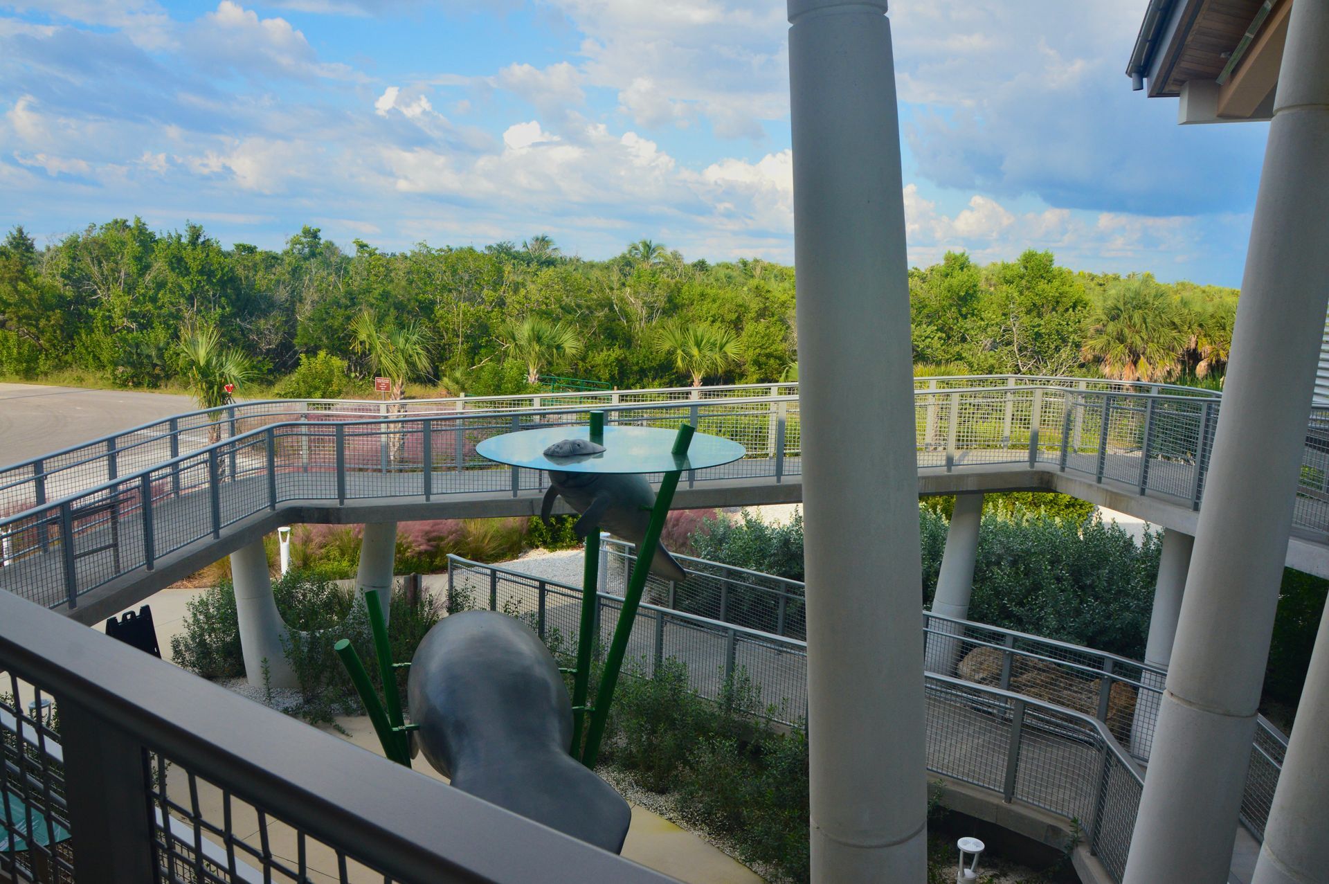 Saltwater resistant plants Lovers Key State Park