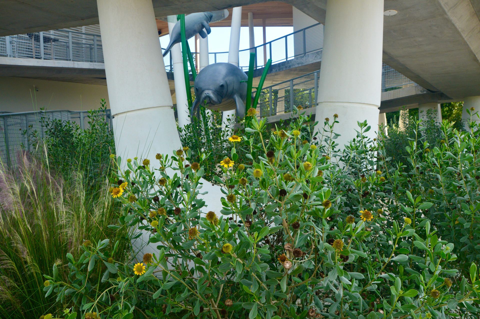  Lovers Key State Park saltwater resistant plants