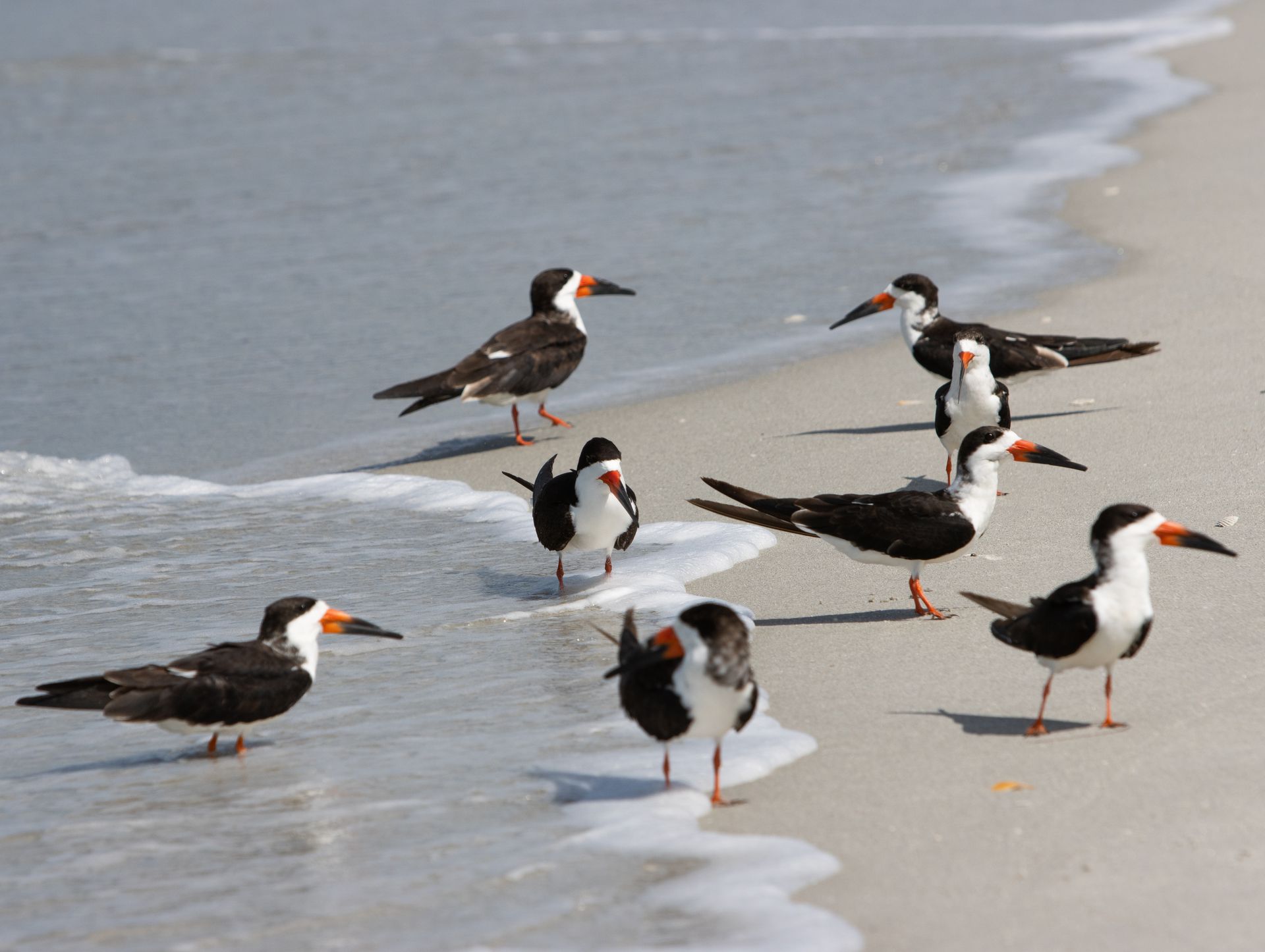 Lovers Key State Park