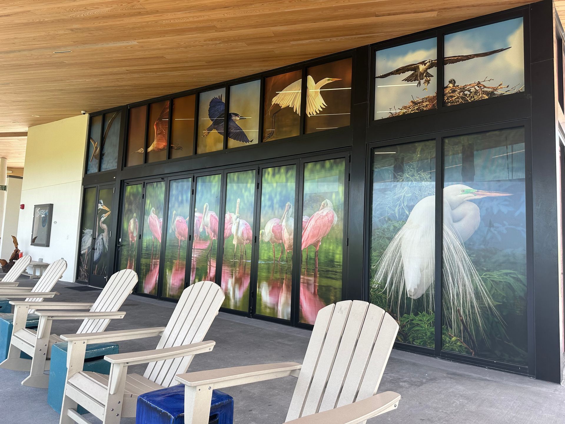 Saving our feathered friends: How window film helps stop bird collisions at Lovers Key State Park